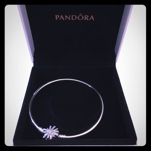 NWOT Pandora Bangle.